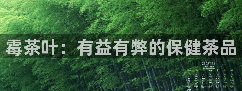 龙八国际是个什么游戏