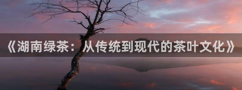 龙八国际app下载官网
