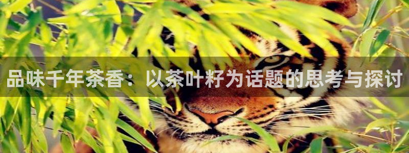 l龙八国际