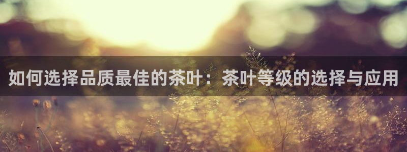 下载龙八国际app