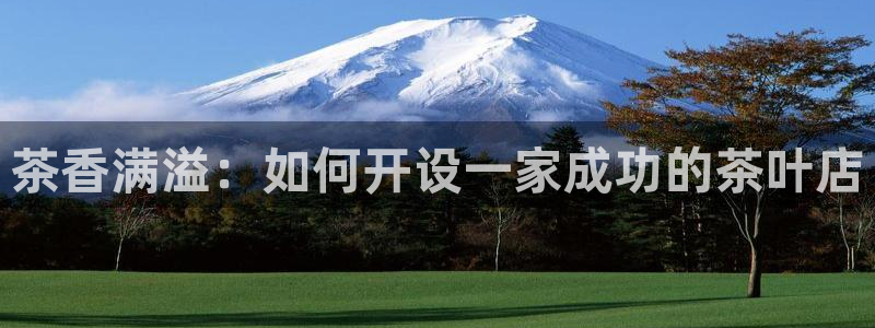 龙八国际网