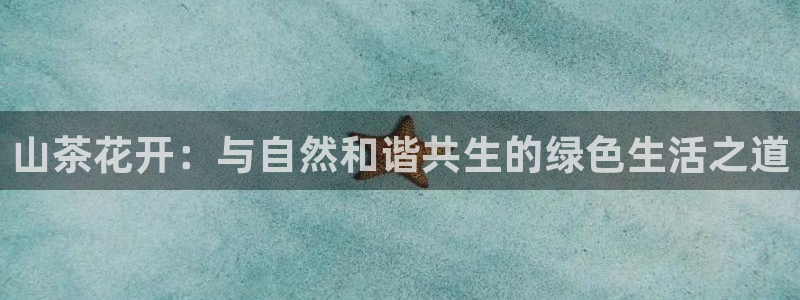 龙八国际国际娱乐官网