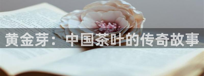 龙八国际Pt老虎机