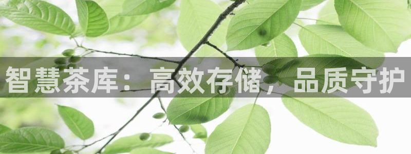 龙八国际app下载手机客户端