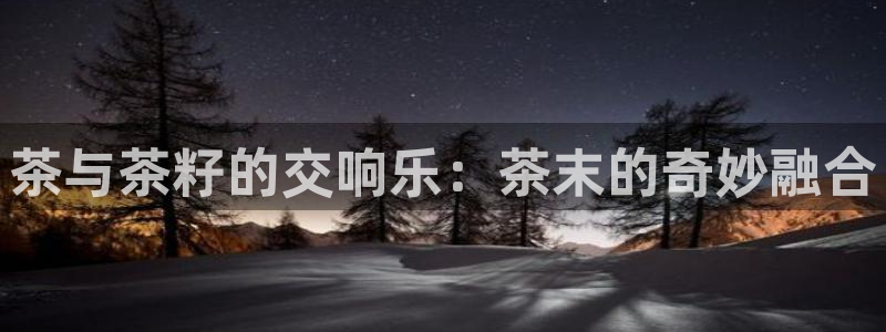 龙八国际long88