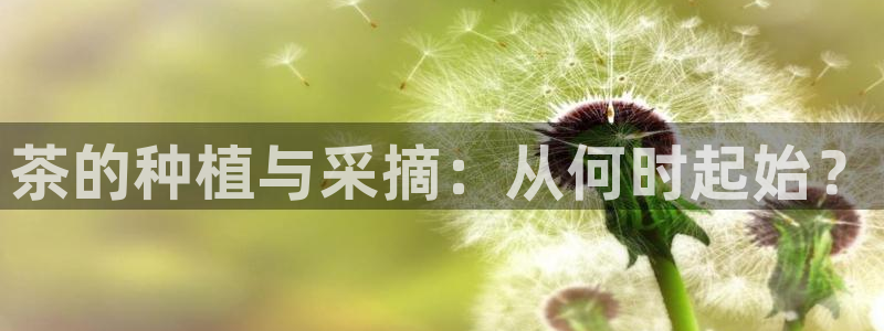 龙八国际怎么进不去了