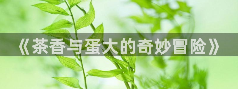 龙八国际app手机版下载苹果