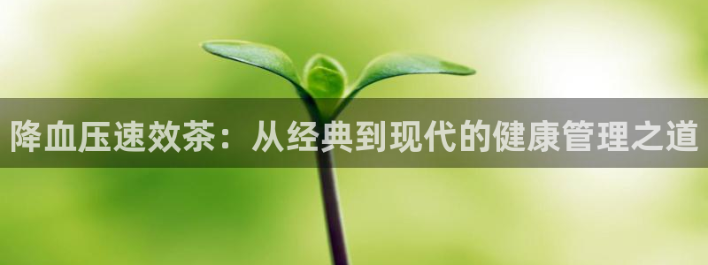 龙八国际app骗局