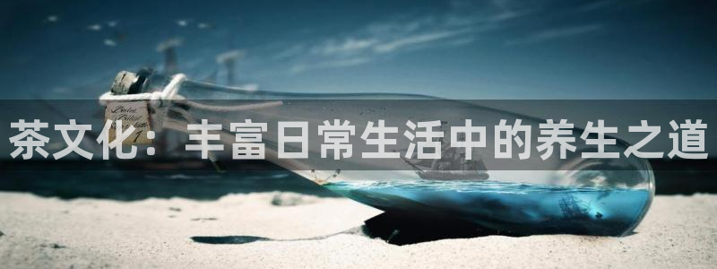 龙八国际有限责任公司
