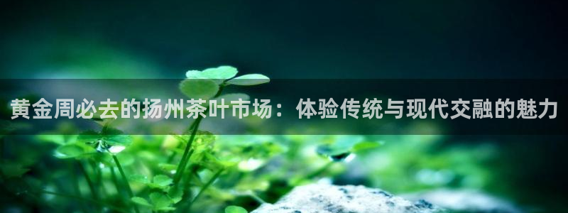 龙八国际娱乐预约