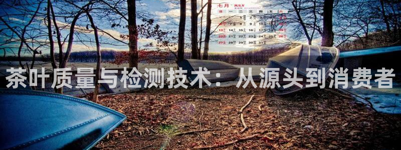 龙八国际彩金购买
