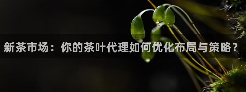 龙八国际官方首页
