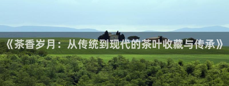 龙八国际网页long123
