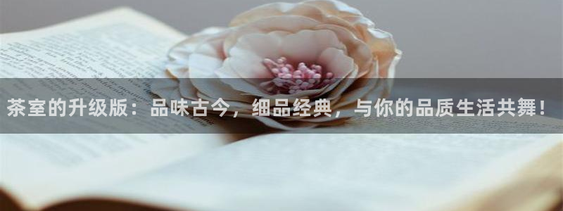 龙八国际是不是黑平台