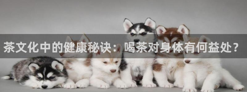 龙八国际娱乐官方网站