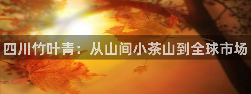 龙八国际登入