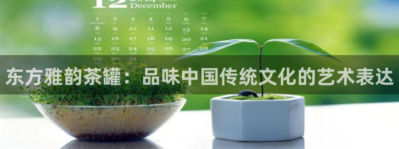 龙八国际代理app
