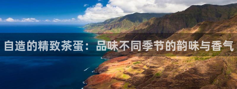 l龙八国际