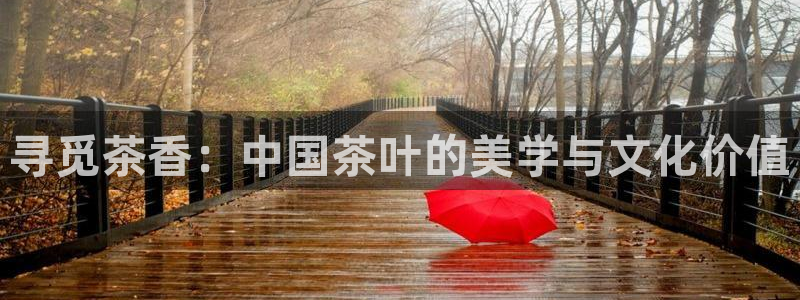 龙八国际老虎机