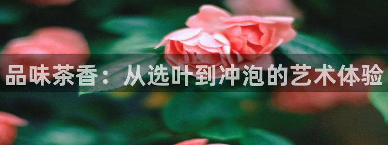 龙八国际app手机端