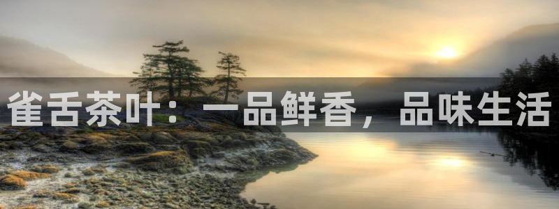 龙八国际我要登录