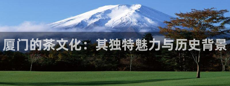 龙八国际登录网站