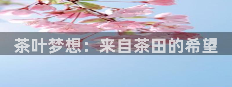 龙八国际pt老虎机官网