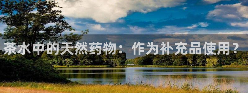 龙八国际娯乐城软件下载