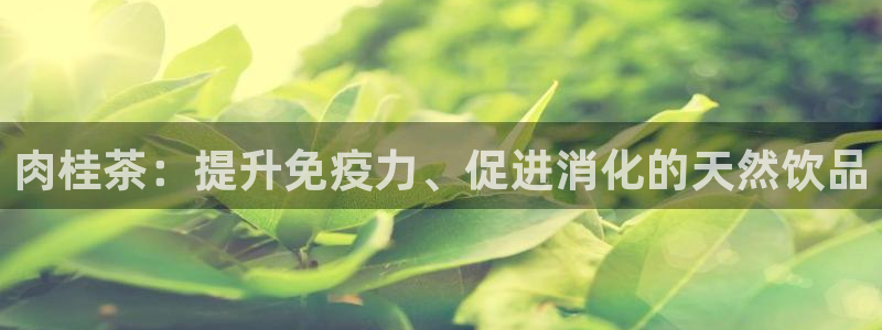 龙八国际怎么注册官网