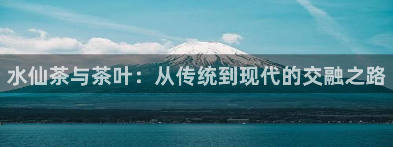 龙八国际在线登录