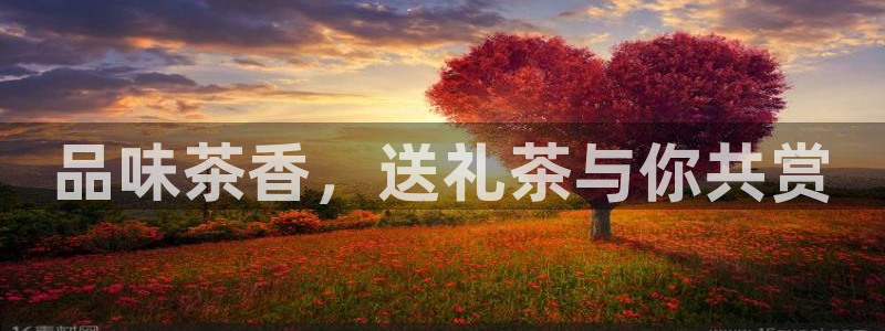 菲律宾龙八国际