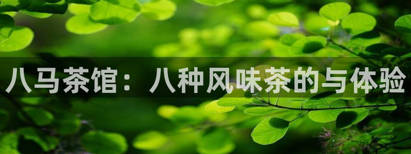 龙八国际娱乐官方网站