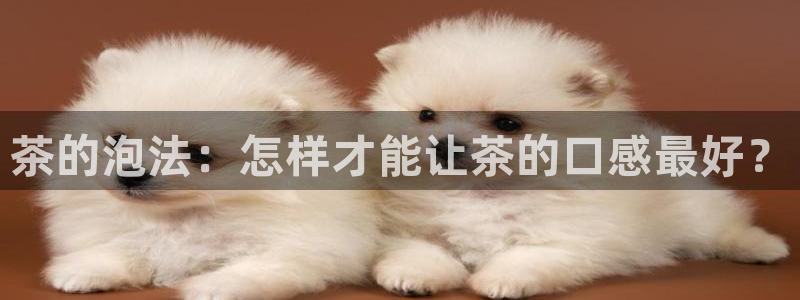 龙八国际网页登录