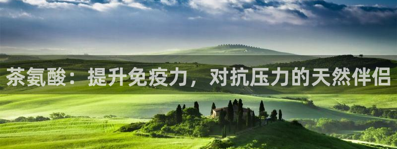 龙八国际官网首页