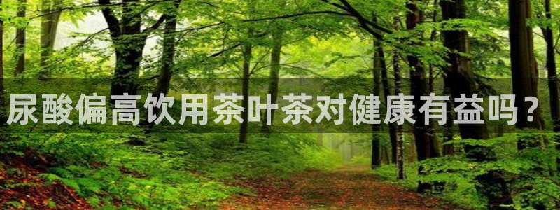 龙八国际是什么