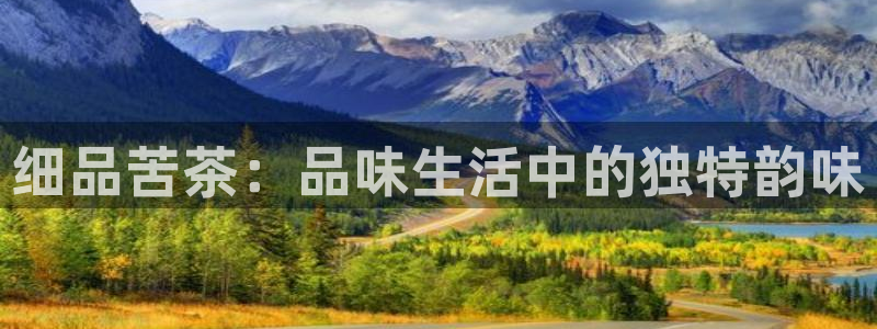 龙八国际官方登录网址