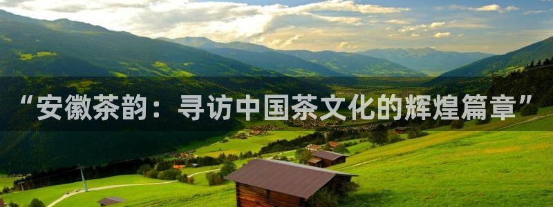 龙八国际官网网站