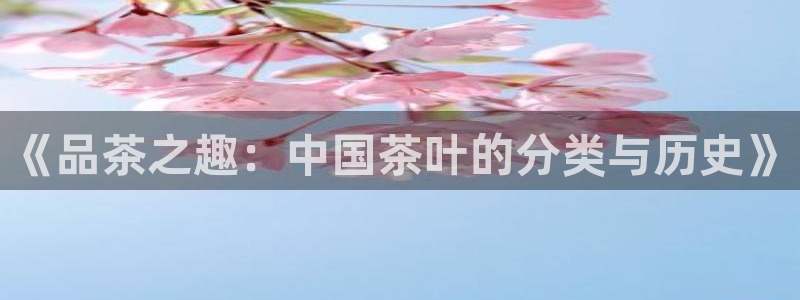 龙八国际客服端登录