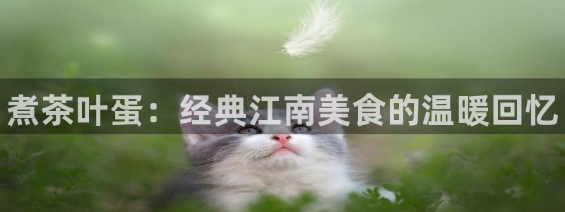 龙八国际怎么注册官网