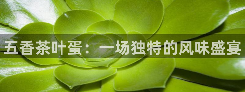 龙八国际怎么注册手机端