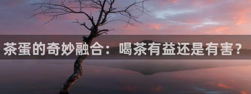 龙八国际怎么注册手机端