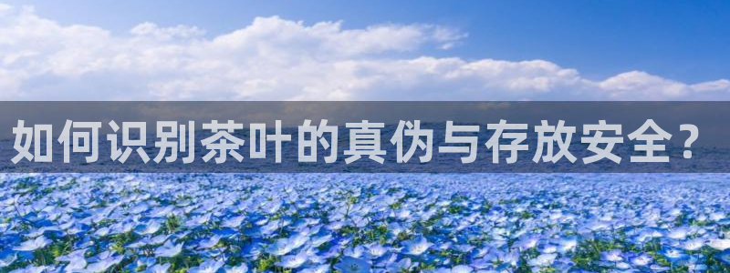 龙八国际怎么注册手机端