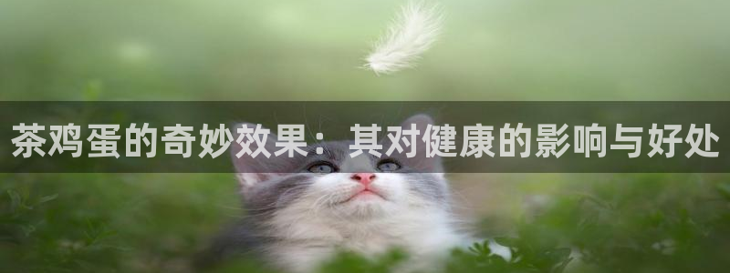 龙八国际怎么注册