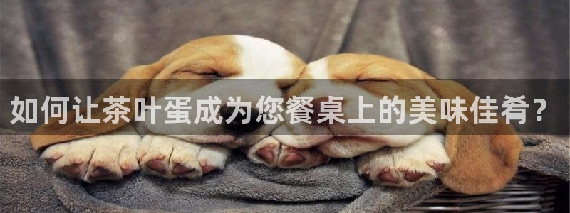 龙八国际娱乐pt