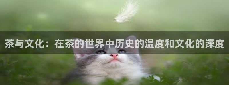 龙八国际手机网页版