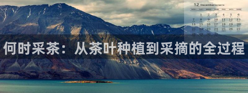 龙八国际app手机版下载安卓