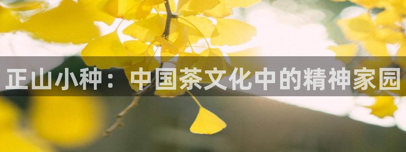 龙八国际花园宝宝