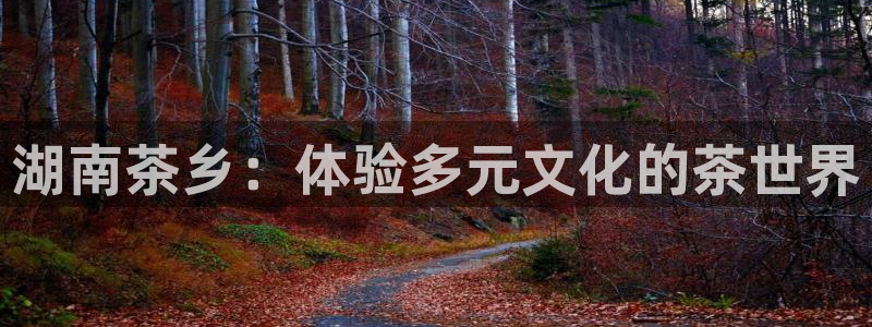 龙八国际相仿平台