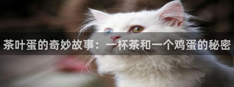 龙八国际手机app