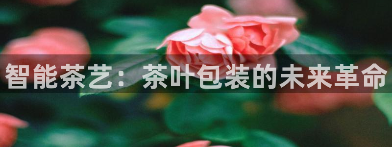 龙八国际可b48点tv